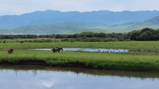 甘肅證監(jiān)局主要負(fù)責(zé)同志一行到協(xié)會(huì)調(diào)研指導(dǎo)工作