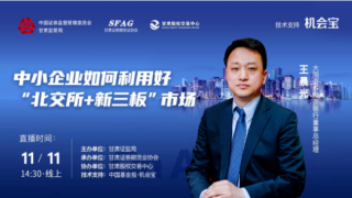 甘肅轄區(qū)舉辦中小企業(yè)如何利用好“北交所+新三板”市場網絡直播培訓